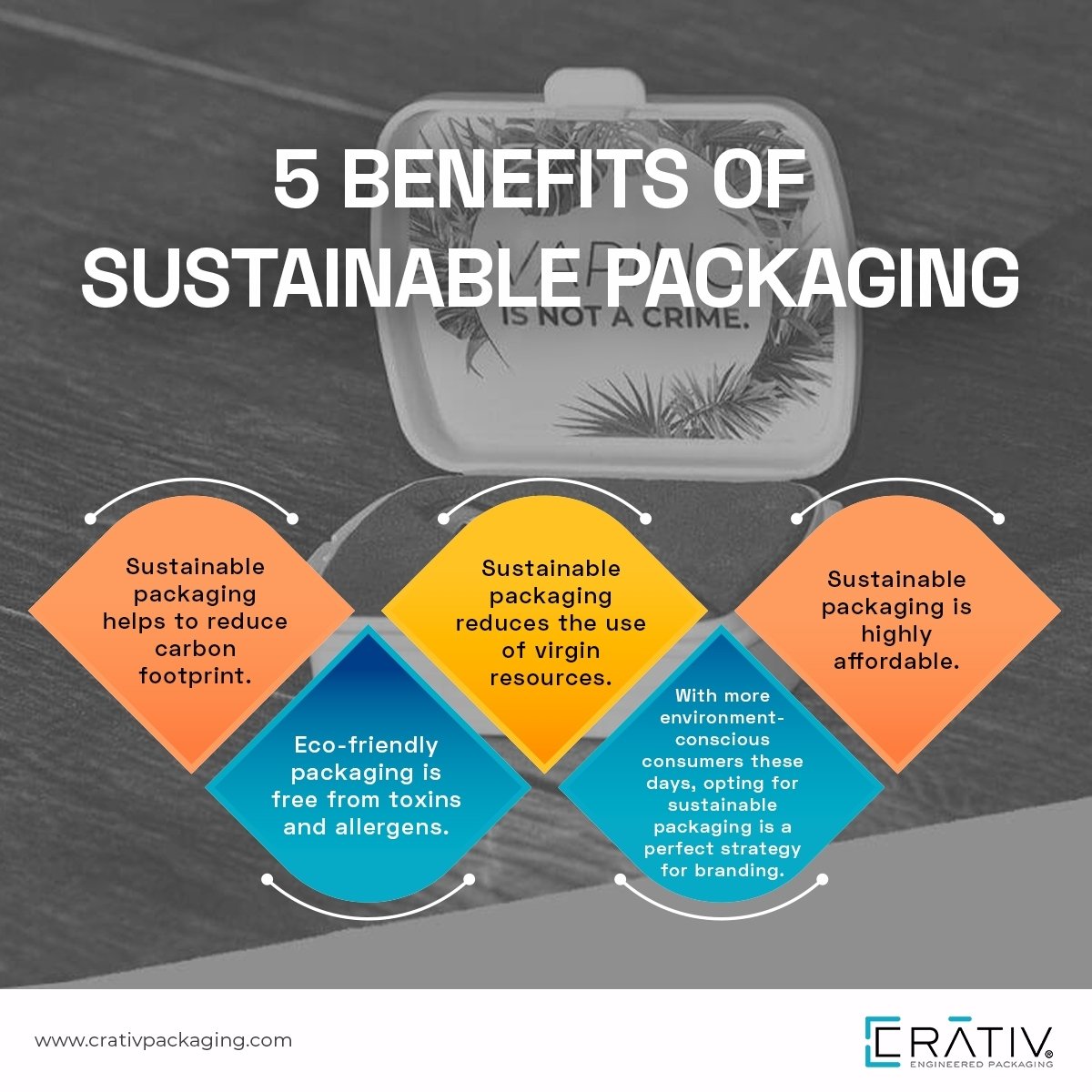 sustainable-packaging-examples-ideas-benefits-strategies-infographic